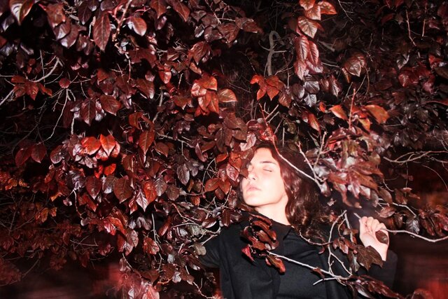 Sara Goldman's photo