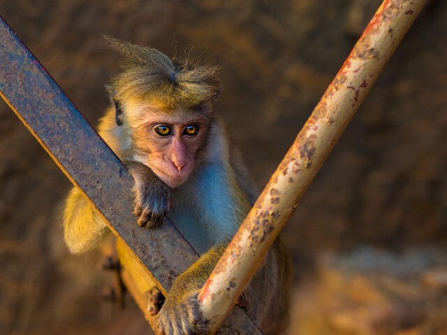 Фото Ruslan RusArtFoto Shatskih