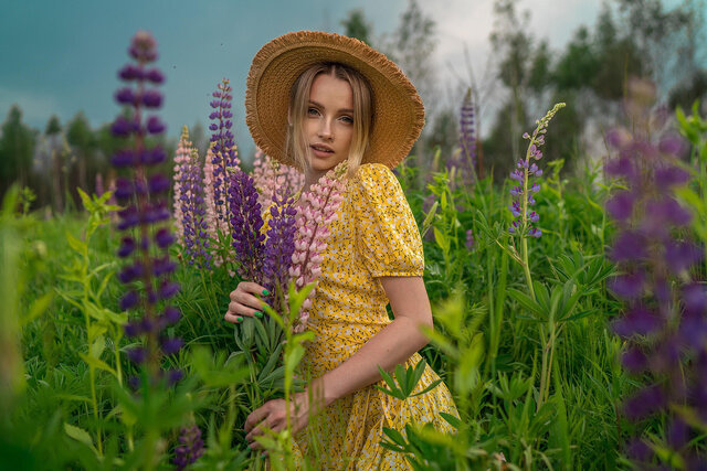 Люпины