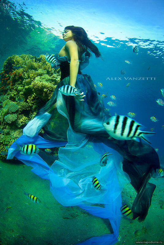 Foto Alex Vanzetti