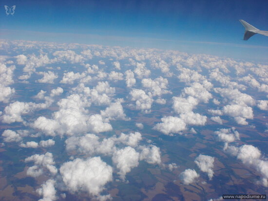 Irma Genze's photo