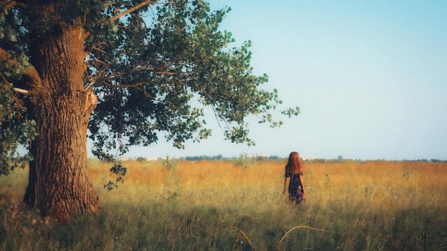 Фото Roman Rabeshko