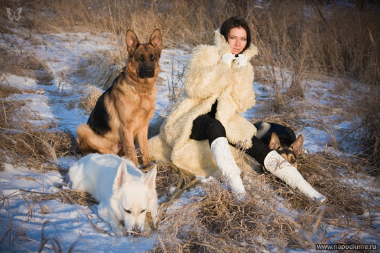 ПОРТРЕТ, ГЛАМУР, Fashion, ПЛИНЕР, собаки, животные