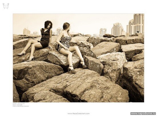 Reza Golestani's photo