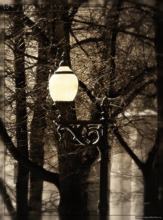 Sergej Saltykov's photo